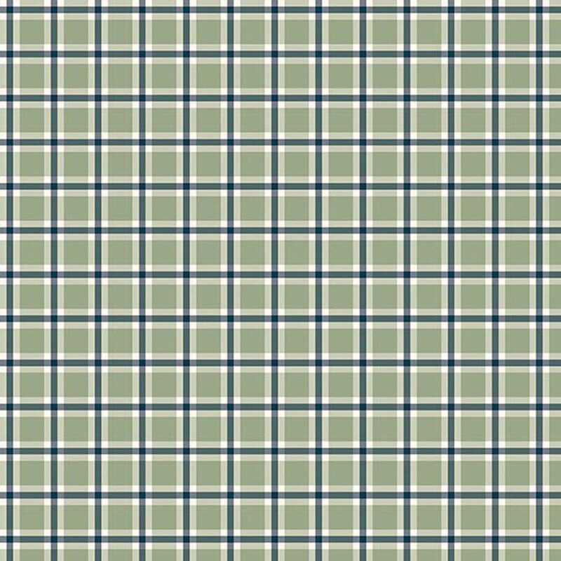 Sage green fabric with a classic gingham pattern in blue and white.