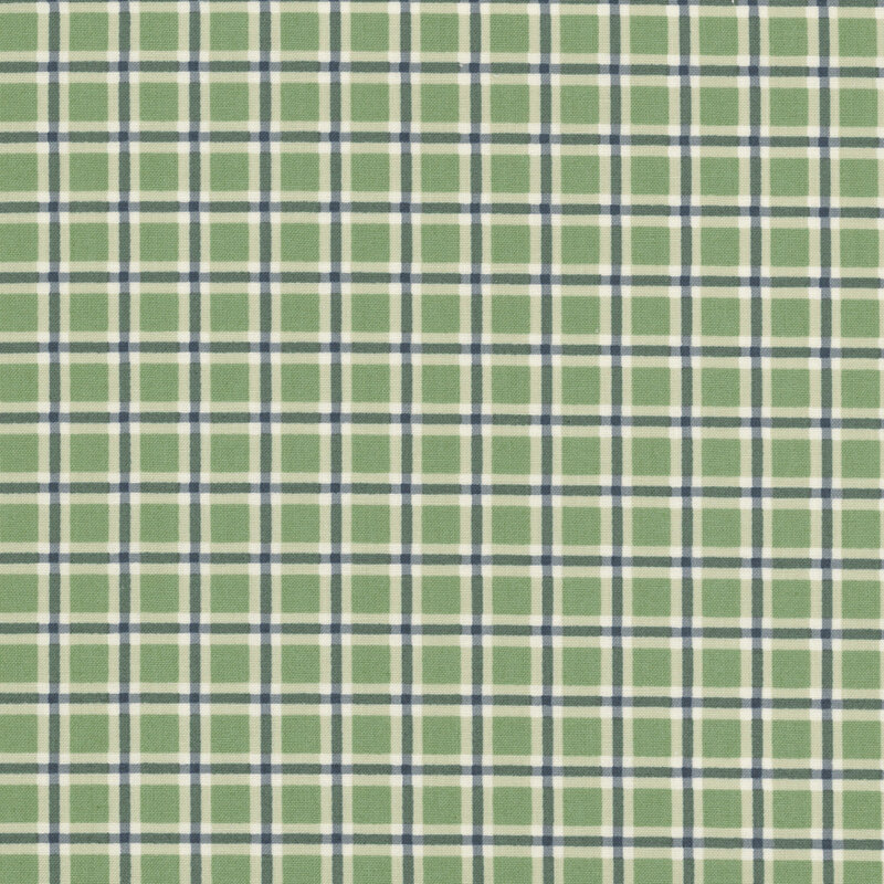 Sage green fabric with a classic gingham pattern in blue and white.