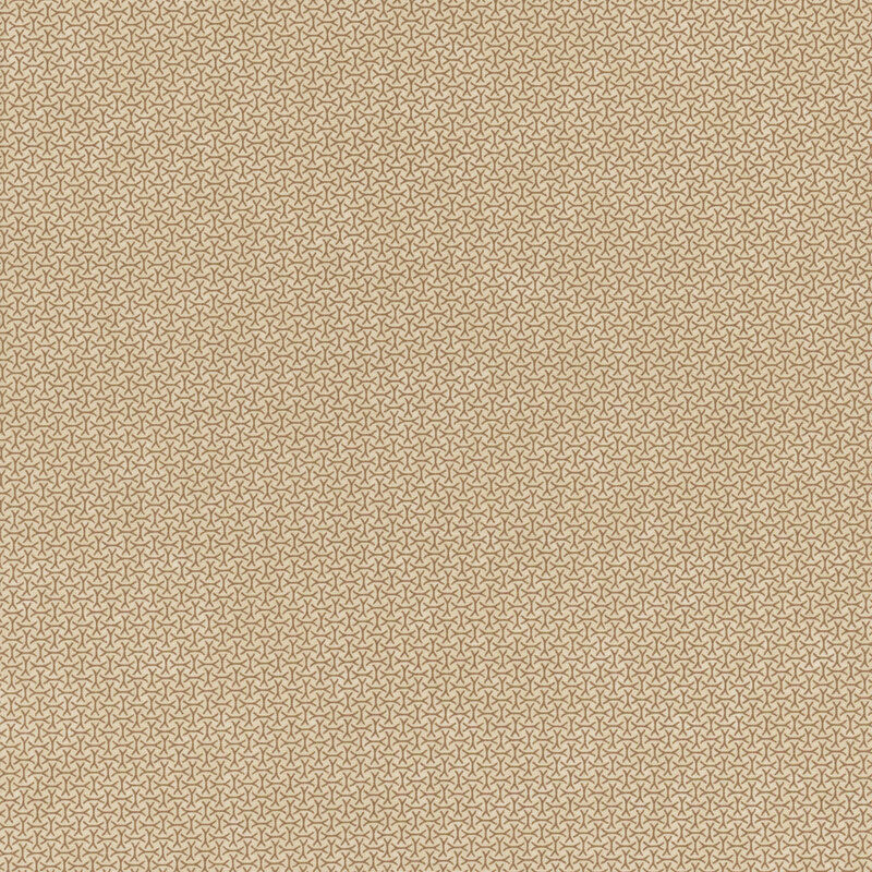 A mottled tan fabric with an arrangement of abstract tonal lines. 