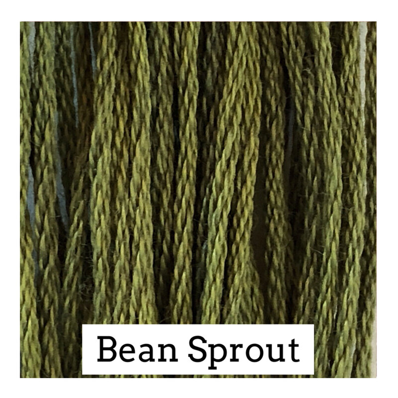 A green swatch of Classic Colorworks floss. 