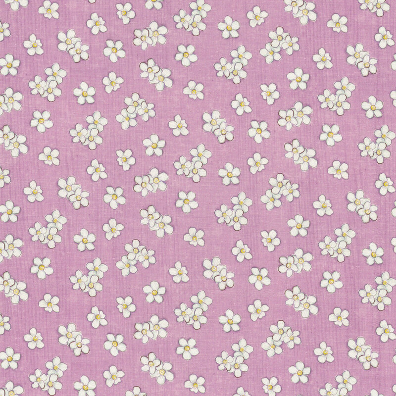 White daisies tossed on a textured light purple background.