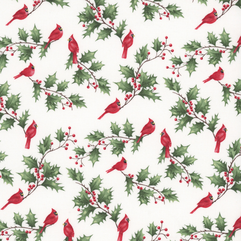 bright red cardinals rest on sprigs of holly on a bright white background