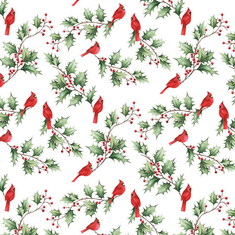 bright red cardinals rest on sprigs of holly on a bright white background