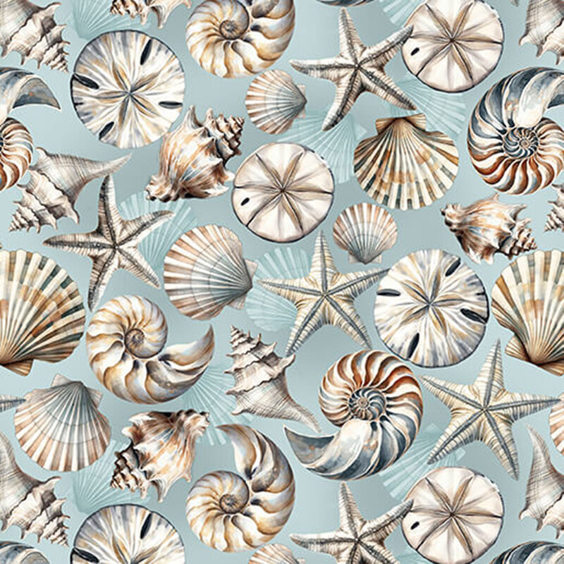 Aqua blue fabric scattered with various seashells in tans and browns.