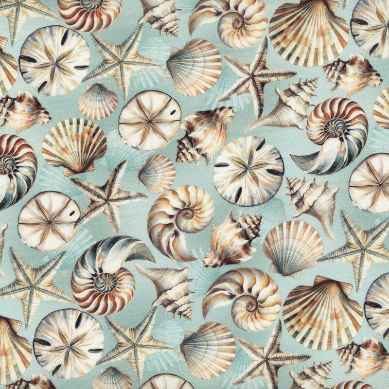 Aqua blue fabric scattered with various seashells in tans and browns.