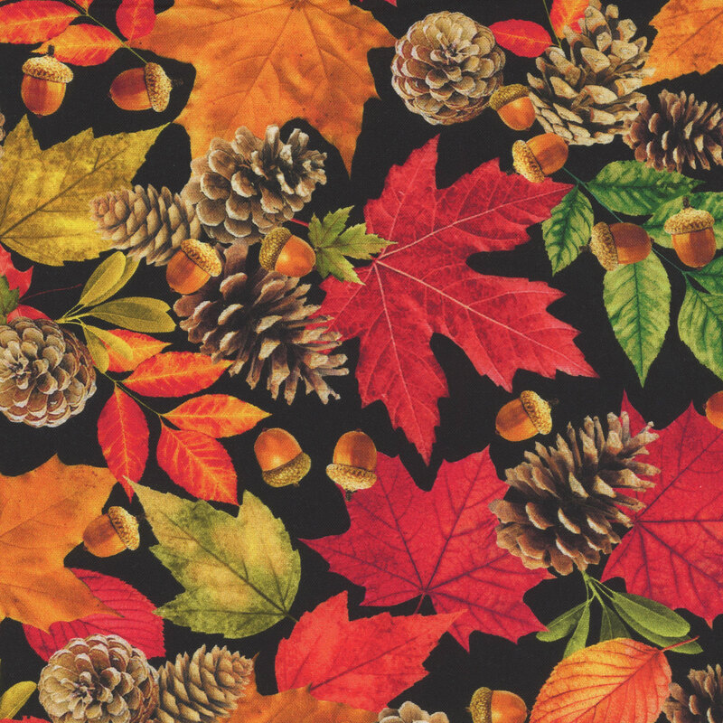 Orange, green, and red fall leaves scattered with acorns and pine cones on a pitch black background.