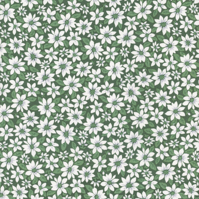 Holly green fabric with white poinsettias and medium green leaves 