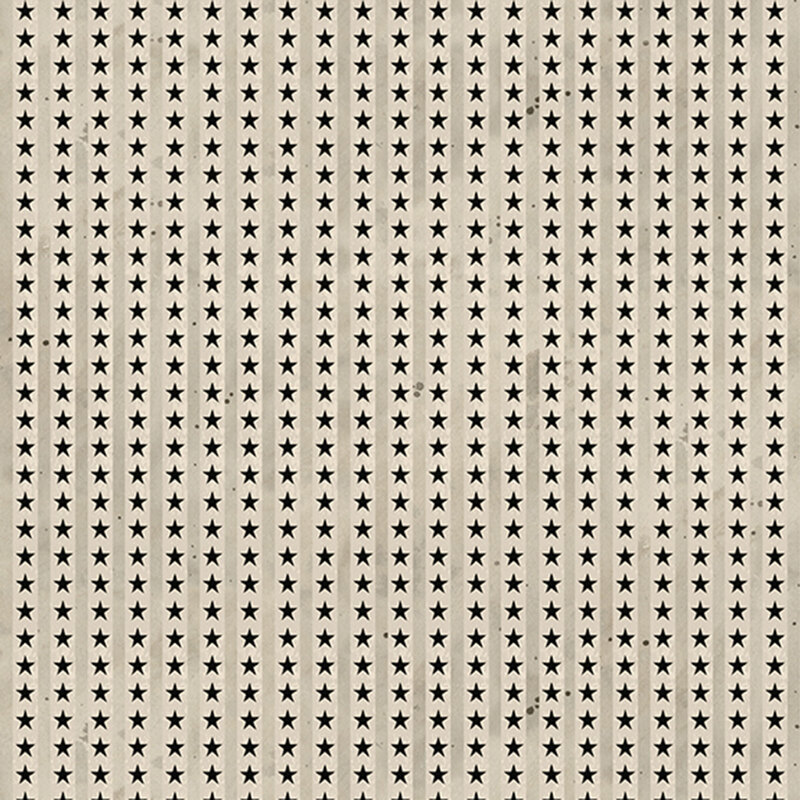 Mottled taupe fabric with greige vertical stripes and charcoal stars 
