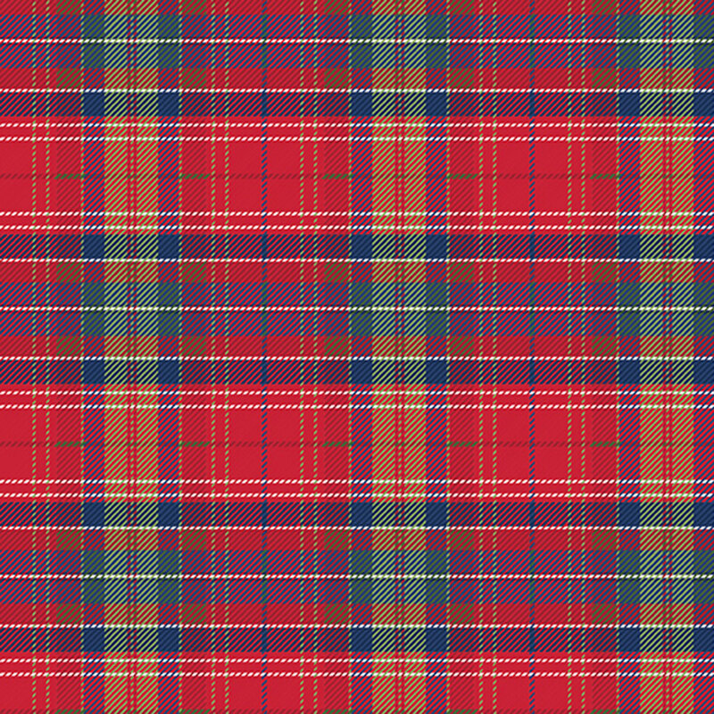Red, blue, yellow, and white plaid fabric.