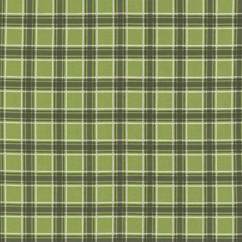 Dark green, light green, and white plaid fabric.