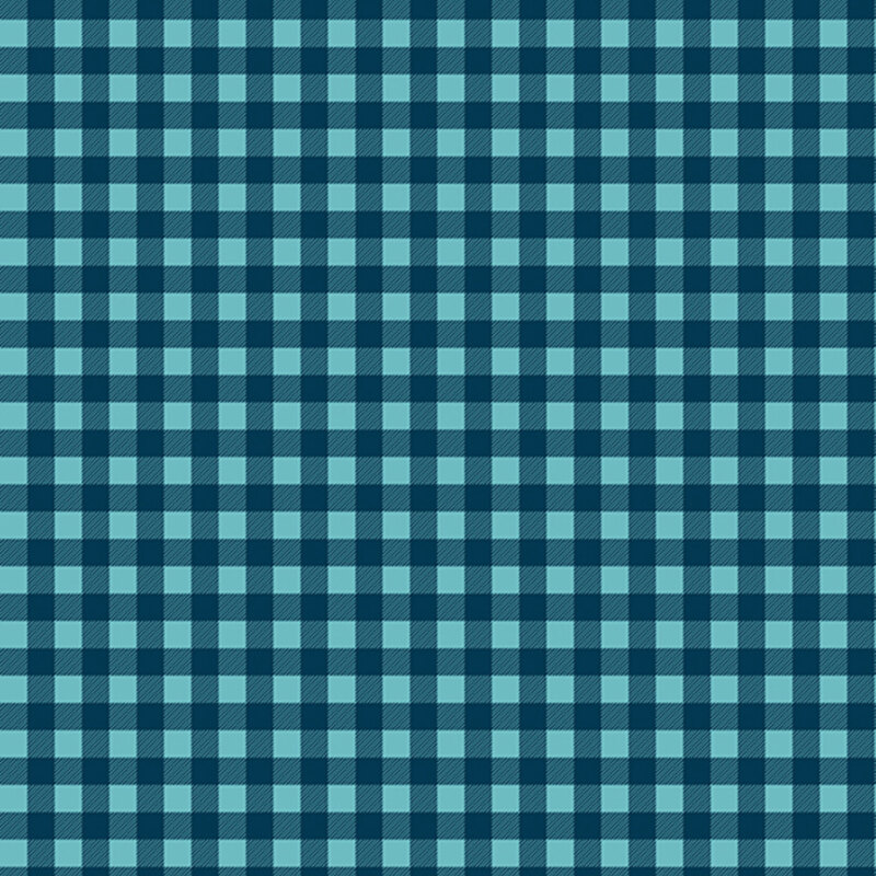 Aqua fabric is decorated with a classic blue gingham pattern.