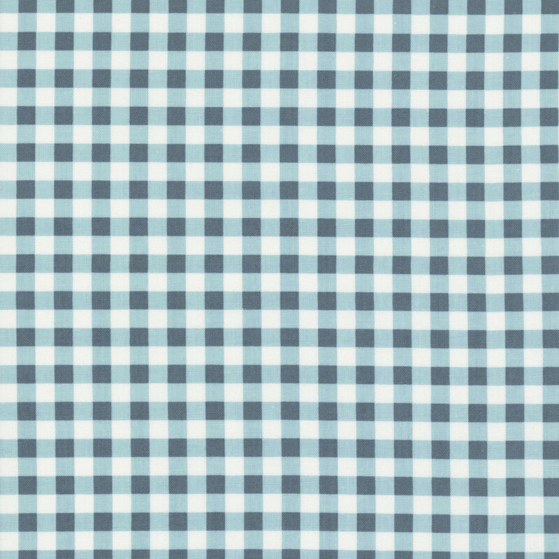 Gingham fabric with white and blue-teal squares.