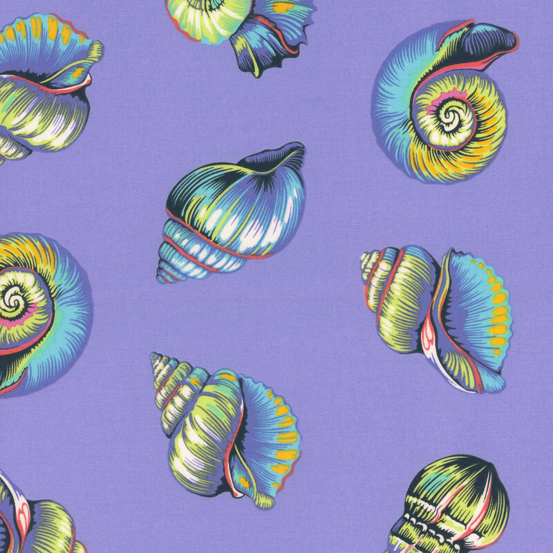 Multicolored nautilus and conch shells on an ultramarine background