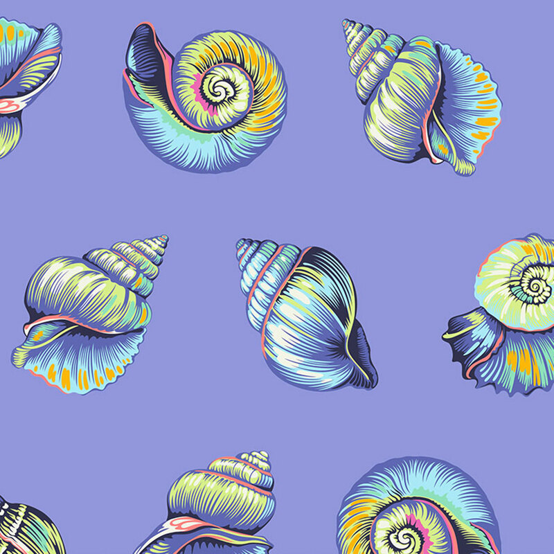 Multicolored nautilus and conch shells on an ultramarine background