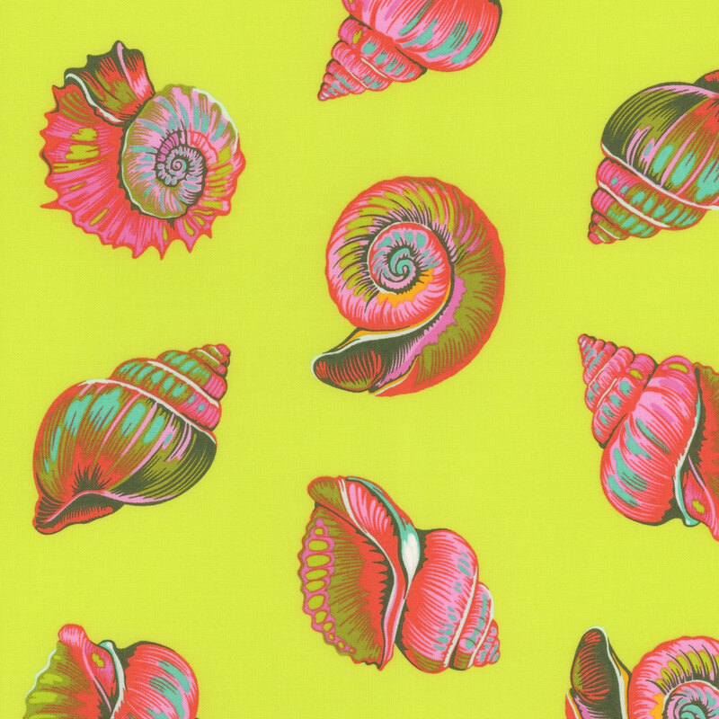 Multicolored nautilus and conch shells on a neon yellow background