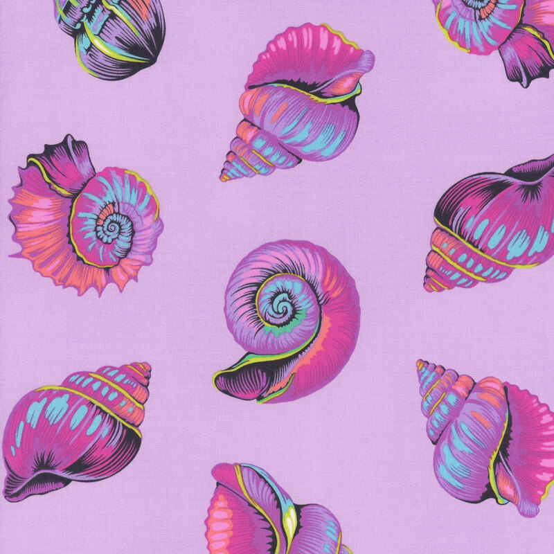 Multicolored nautilus and conch shells on a pastel violet background
