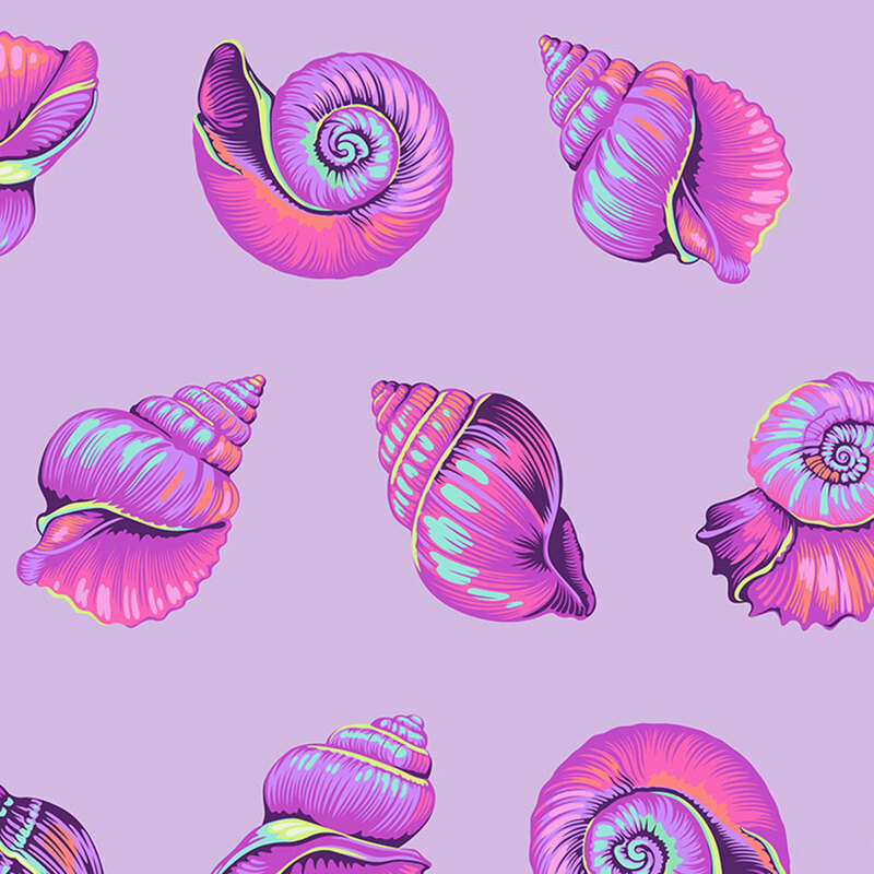 Multicolored nautilus and conch shells on a pastel violet background