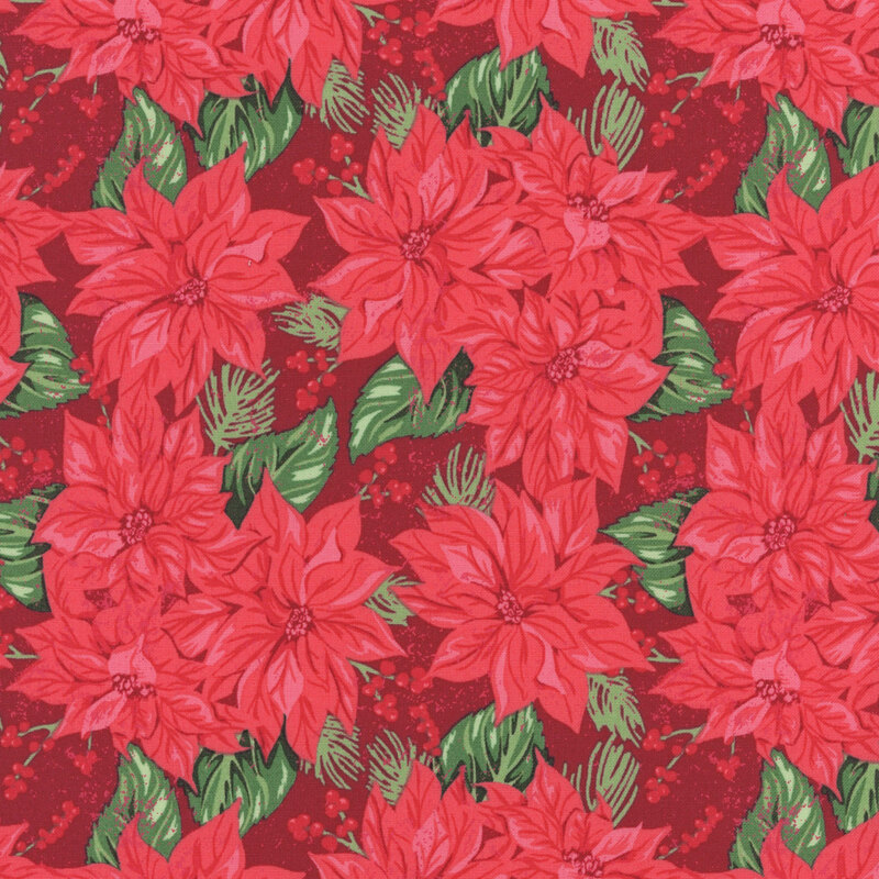 Bright red poinsettias, dark green leaves, and holly berries on a textured dark cranberry red background.