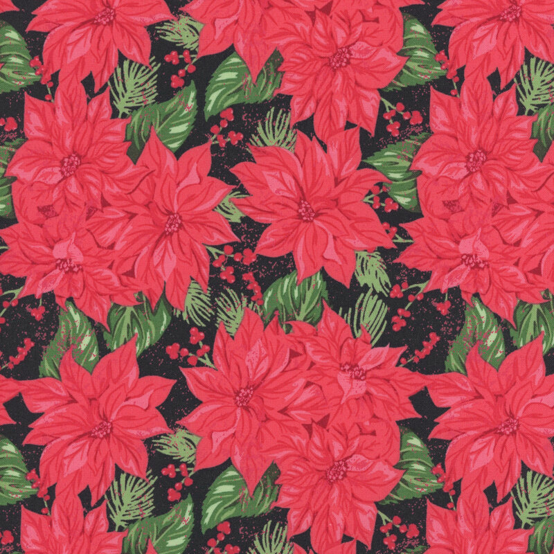 Bright red poinsettias, dark green leaves, and mistletoe berries on a textured pitch black background.