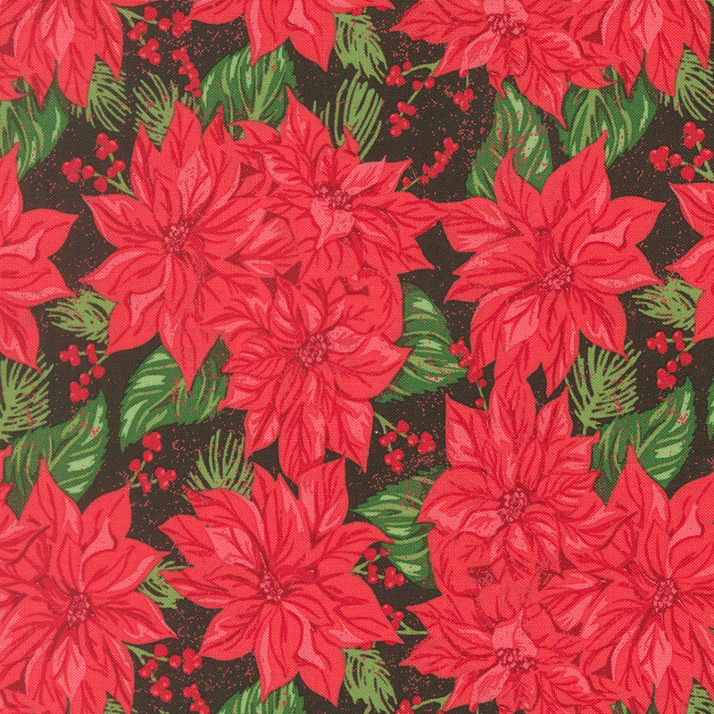 Bright red poinsettias, dark green leaves, and mistletoe berries on a textured pitch black background.