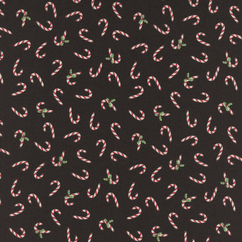 Red and white striped candy canes and holly tossed on a midnight black background.