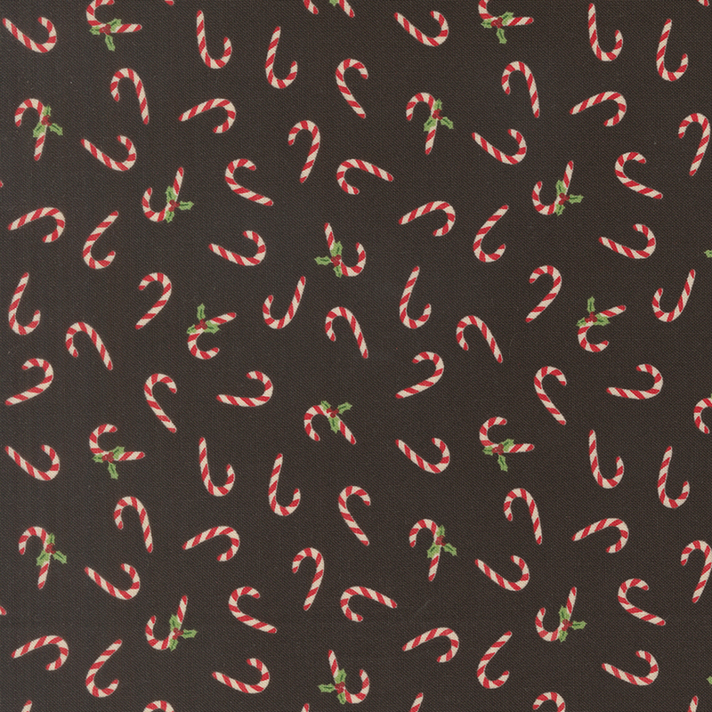 Red and white striped candy canes and holly tossed on a midnight black background.