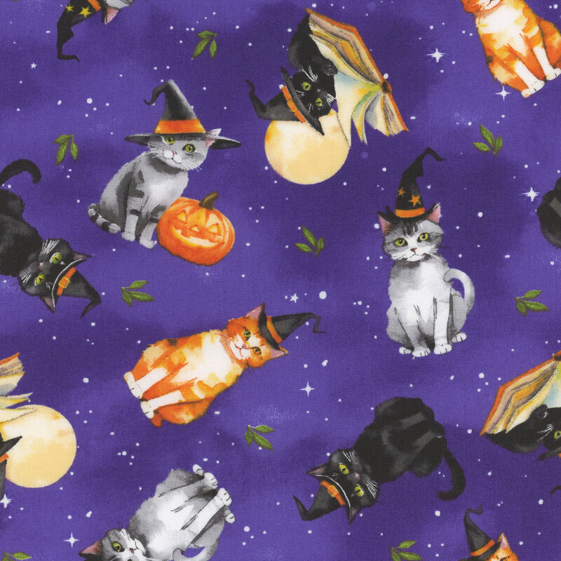 Cats wearing hats, reading books, or sitting with carved pumpkins against a mottled purple starry background.