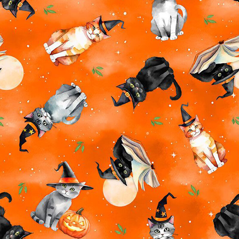 Cats wearing hats, reading books, or sitting with carved pumpkins against a mottled bright orange starry background.