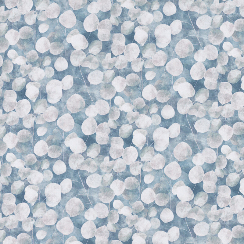 Large, rounded leaves and long thin stems on a mottled dark cadet blue background.