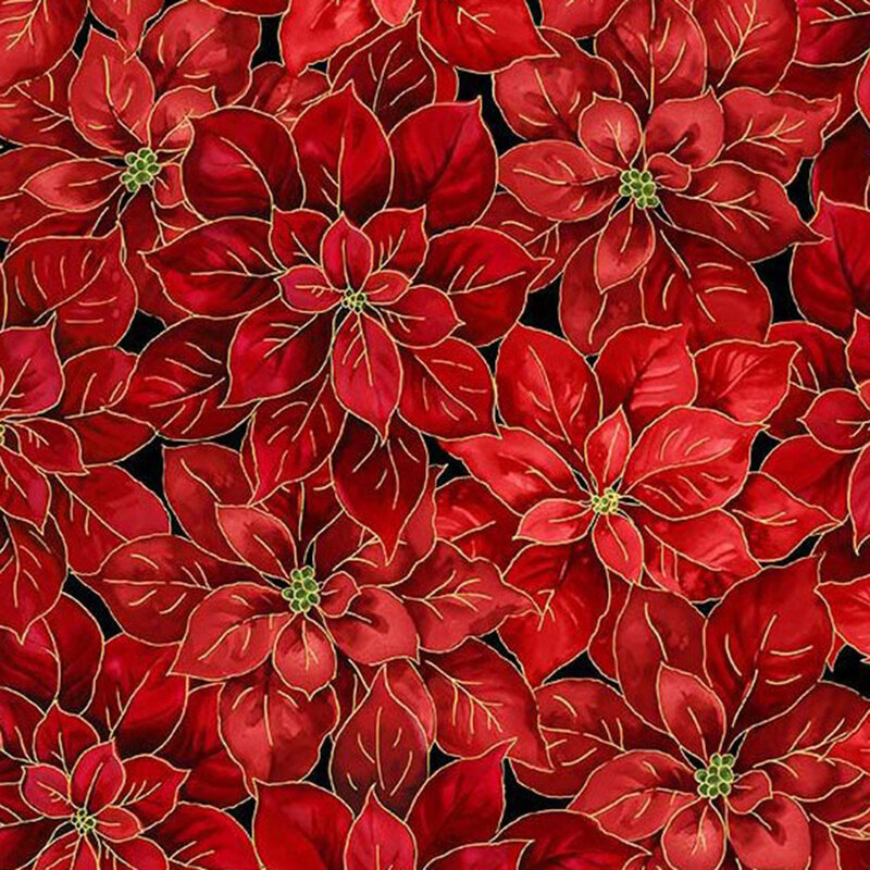 Christmas-red poinsettias with gold metallic accents on a black background.