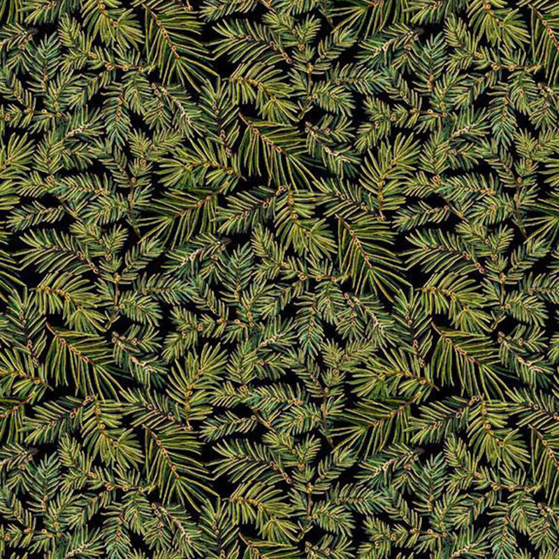 Green pine branches with gold metallic accents tossed on a black background.