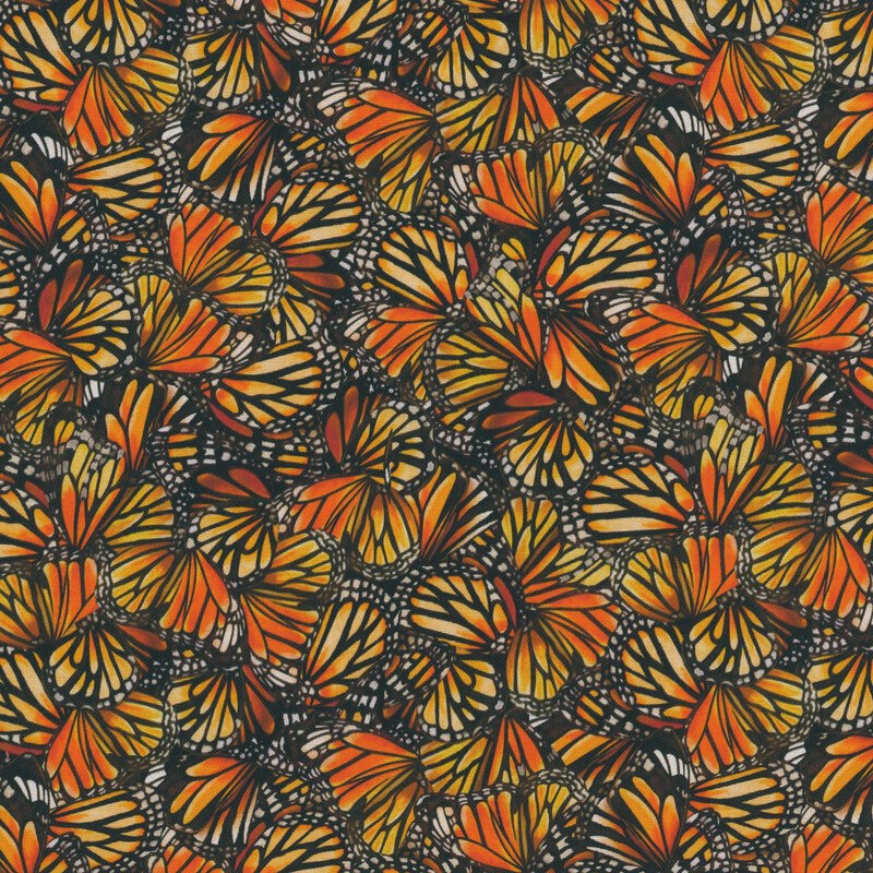 Abstract pattern of densely packed monarch butterfly wings