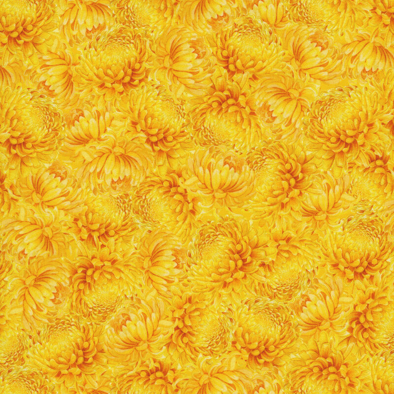 Dense pattern of monochromatic yellow and gold chrysanthemums