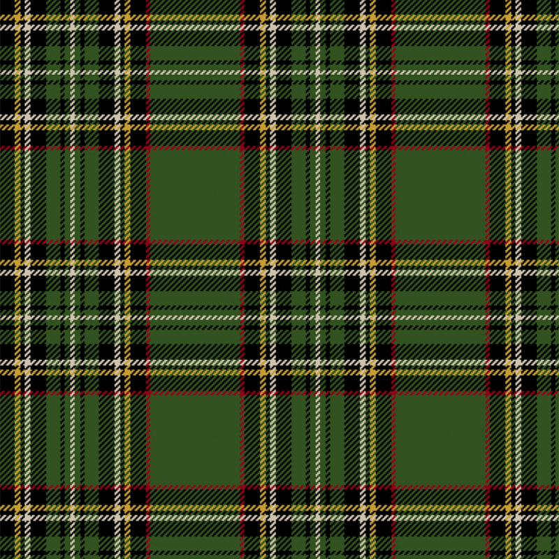 Green fabric with a classic black, white, yellow, and red plaid pattern.