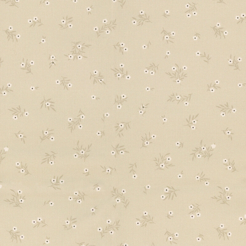 Small white flowers tossed on a khaki green background.
