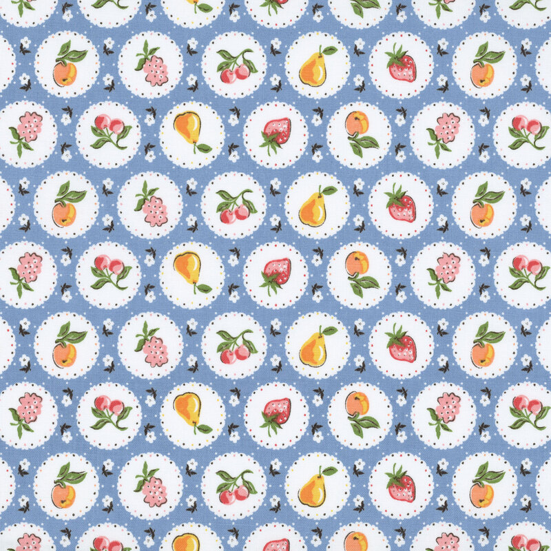 Circular pictures of seasonal fruits on a white background with flowers on azure blue fabric.