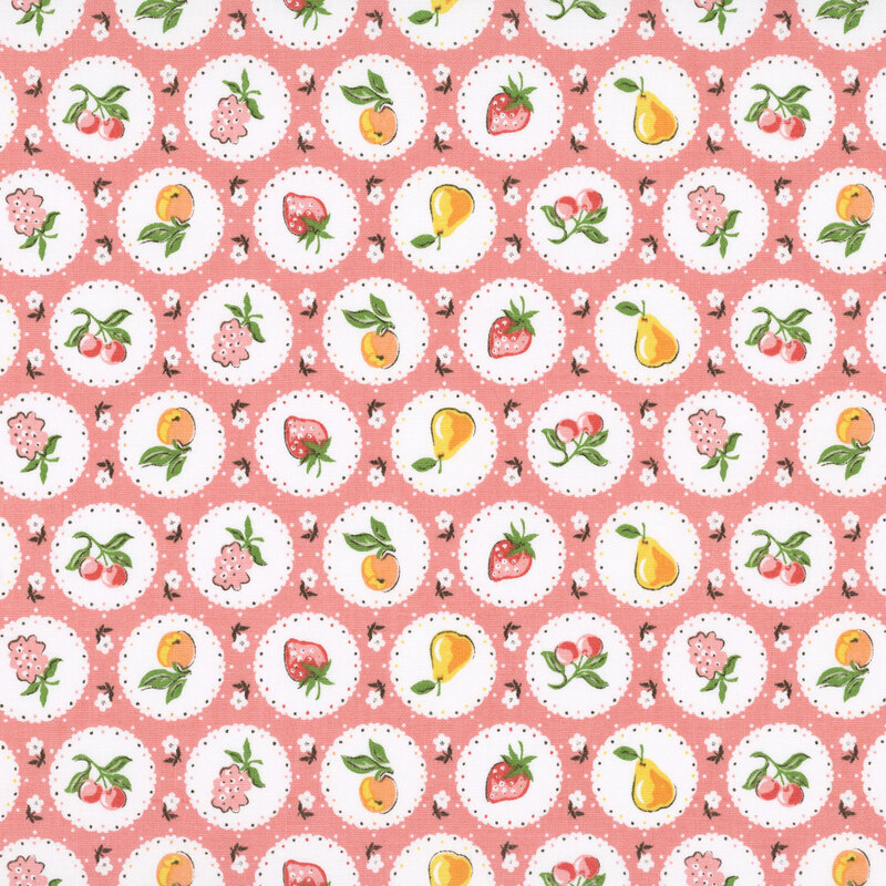 Circular pictures of seasonal fruits on a white background with flowers on rouge red fabric.