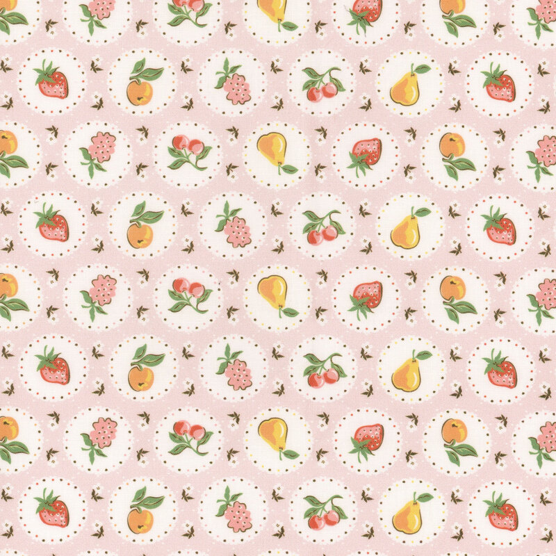 Circular pictures of seasonal fruits on a white background with flowers on pastel pink fabric.