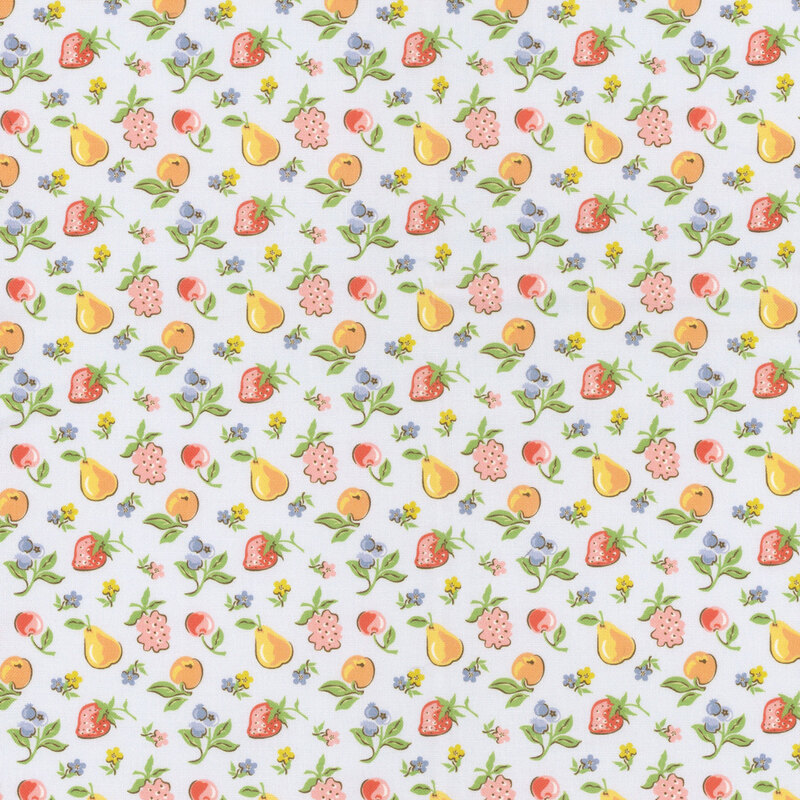 Seasonal fruits and flowers tossed on light blue fabric.