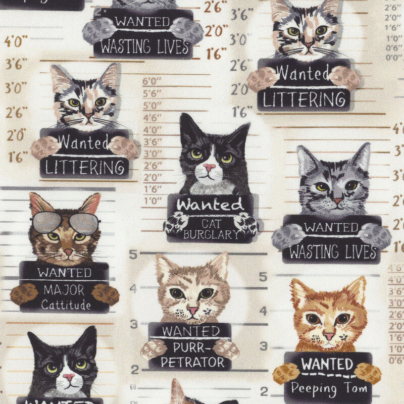 A shaded beige fabric with various cats in front of height markers, holding wanted signs with crimes listed on them. 