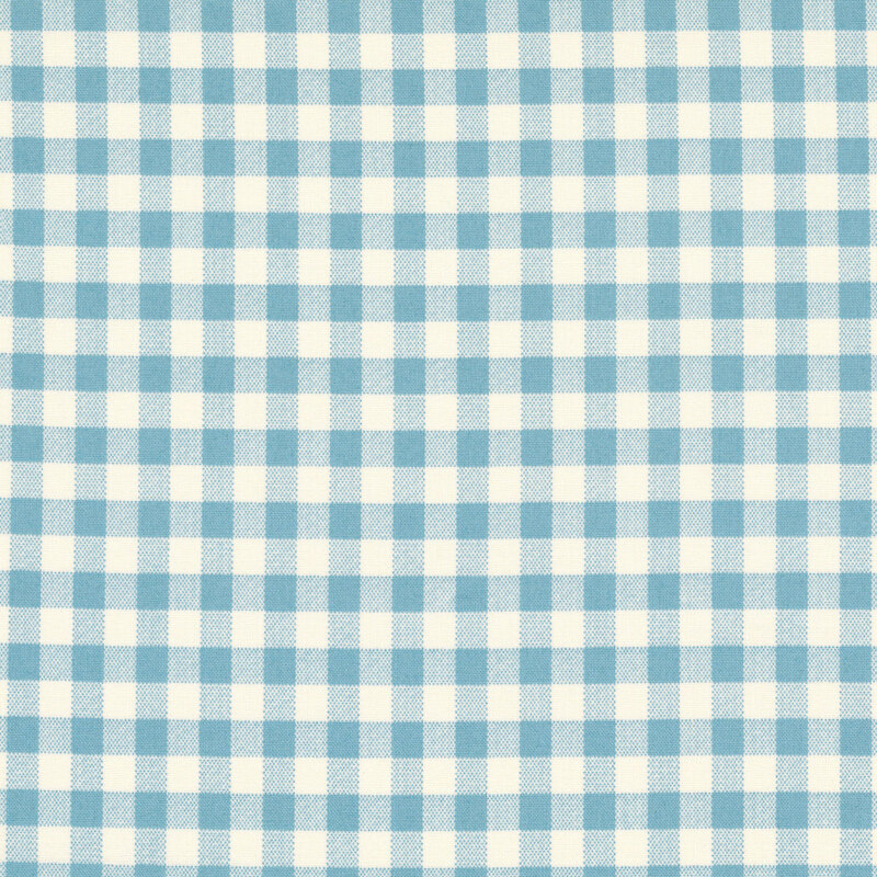 Robin's egg blue gingham on light beige fabric