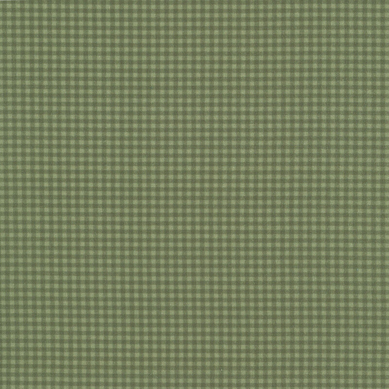 Fabric featuring a tonal green gingham design.