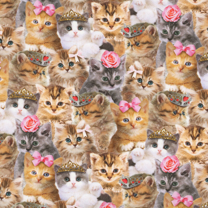 Fabric featuring a collage of photo-style kittens with tiaras and pink ribbons.