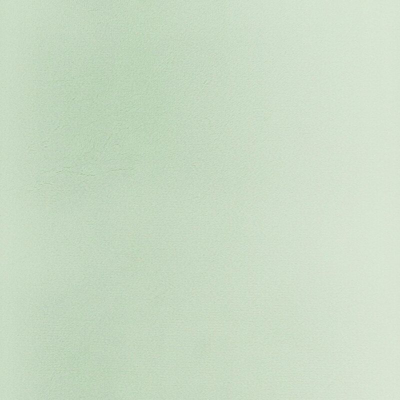 Solid swatch of light green Cuddle fabric.
