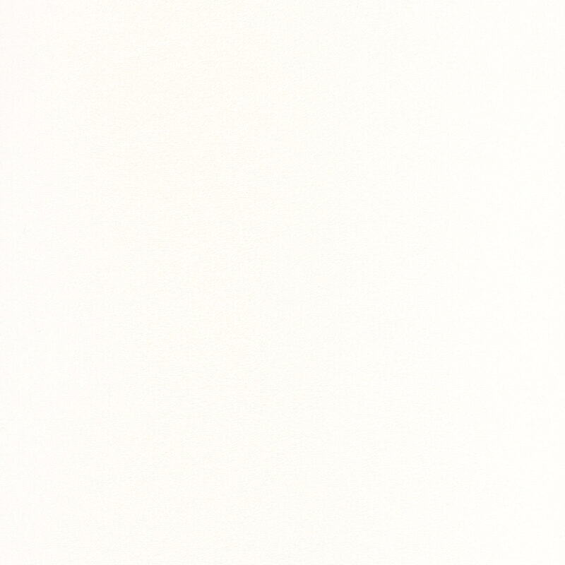 Solid swatch of off-white Cuddle fabric.