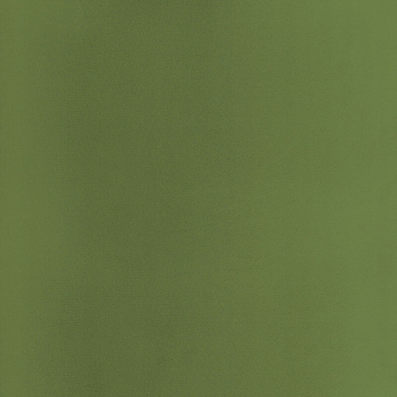 Solid swatch of plant green Cuddle fabric.