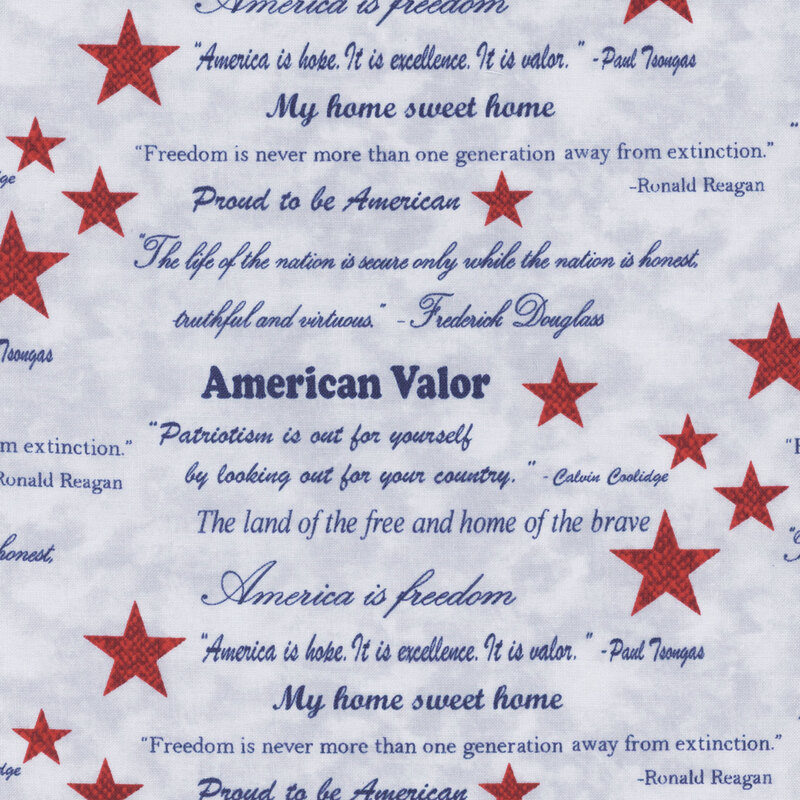 Faded blue mottled fabric with red stars and words in navy blue, which include "American Valor" and quotations from famous Americans