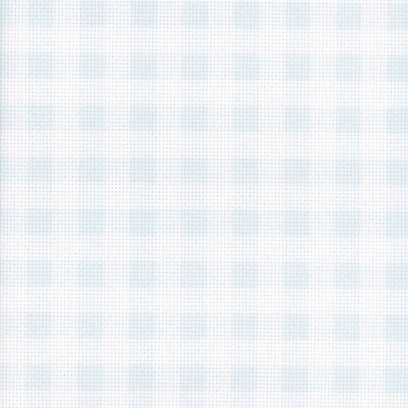 A 8 x 8 scan of 14ct Aida Cloth with a white and light blue gingham pattern.  