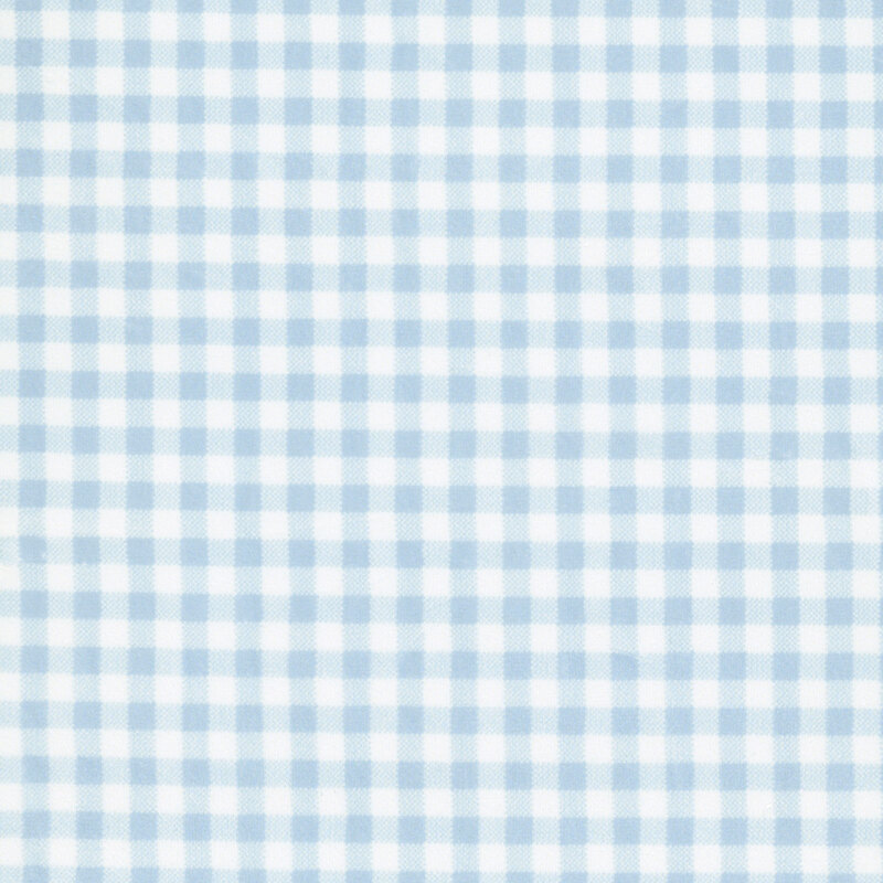 Baby blue and white gingham Quilting Cuddle fabric.