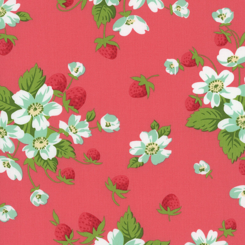 A watermelon red fabric with bunches of strawberry plants with blue flowers. 